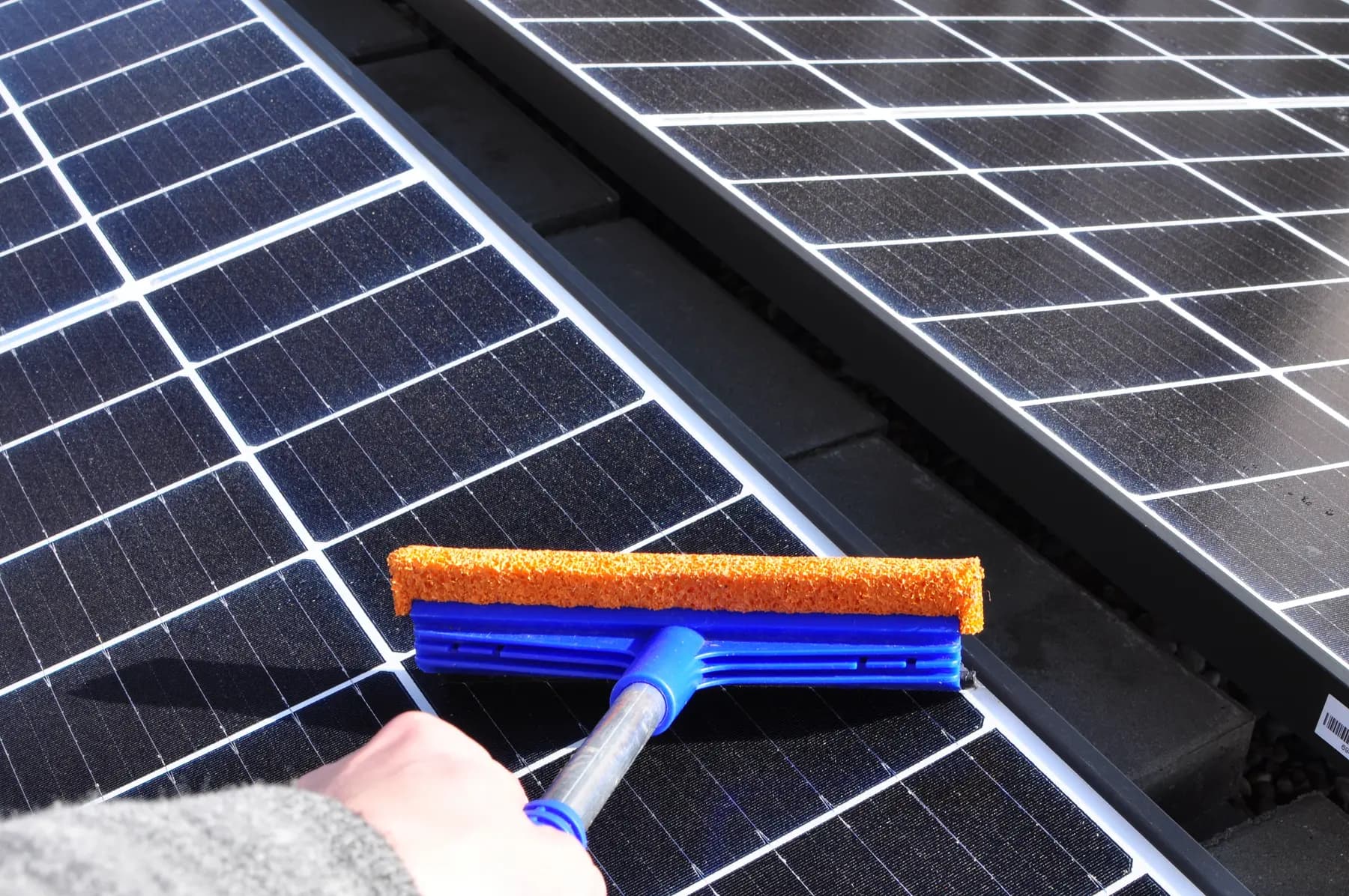 Haragán con esponja pasando sobre una placa solar monocristalina